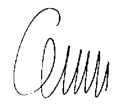 Firma InfoPirineo